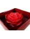 Moulin Rouge Gyertya Roses 125x75 mm
